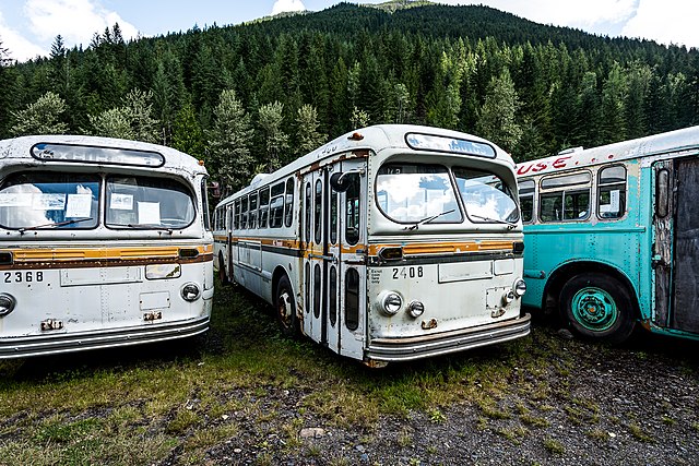 Three trolleybuses left abandoned in Sandon, British Columbia