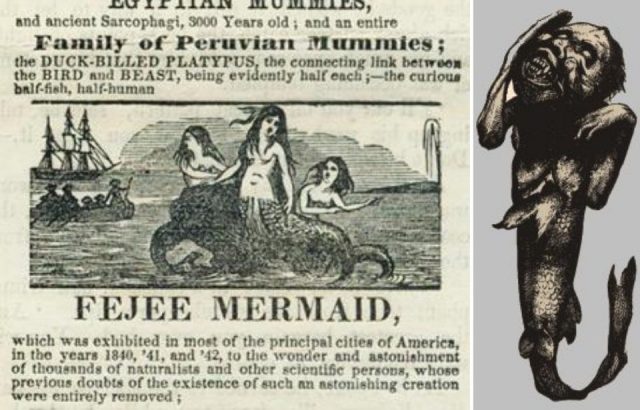 Barnum's advertisement for mermaid exhibit vs actual feejee mermaid