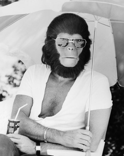 Roddy McDowall in costume for Planet of the Apes 