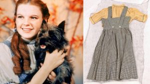 Dorothy and Toto + Judy Garland's dress