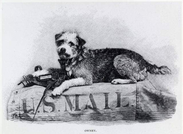 (photo credit: by {{{1}}} – flickr: illustration of owney on mail sack, public domain, accessed via wikimedia commons)
