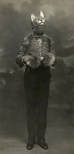 Man dressed as a cat 