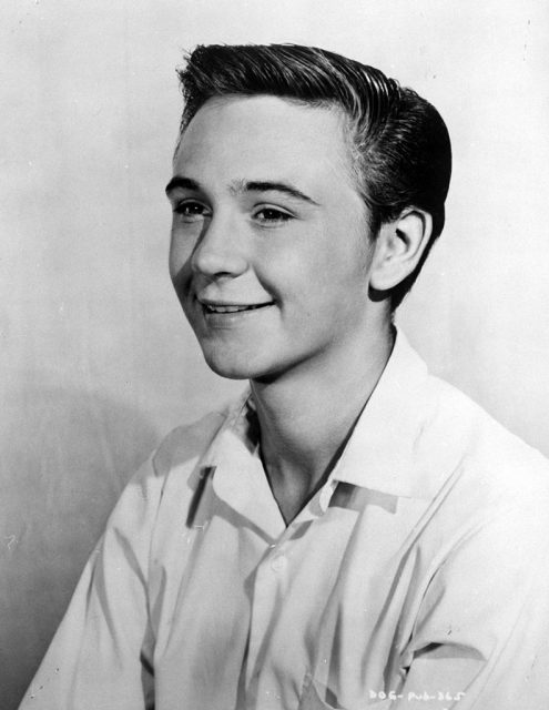 Tommy kirk, 1960s. (photo credit: film favorites/getty images)