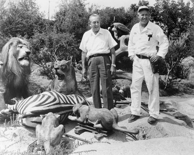 Walt Disney and a park engineer standing over animatronic animals