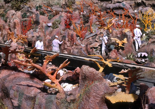 Workers inspect the walls of the Blue Lagoon at Disneyland