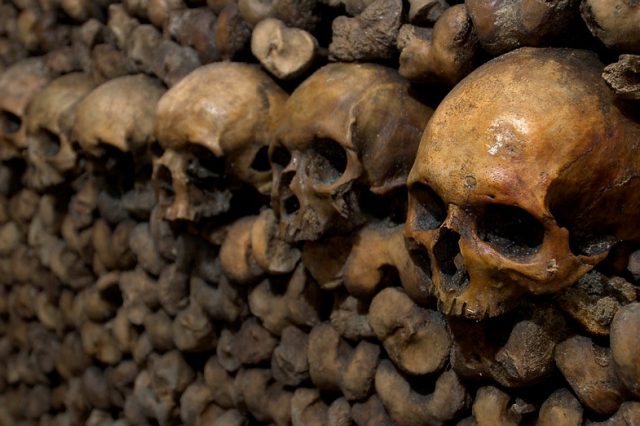 Row of skulls surrounded by femurs