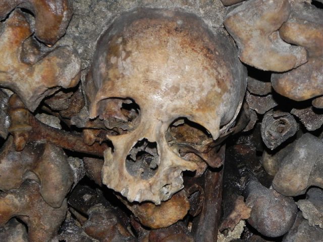 Human skull in the Catacombs of Paris