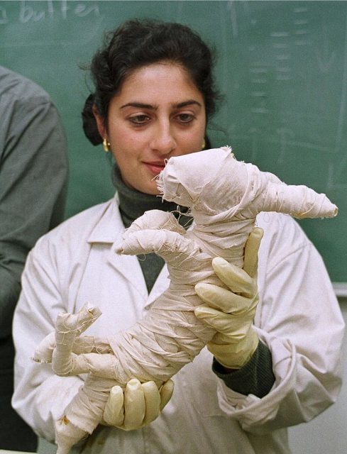Salima Ikram holding a mummified cat