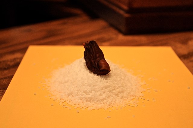 Mummufied toe atop a bed of salt