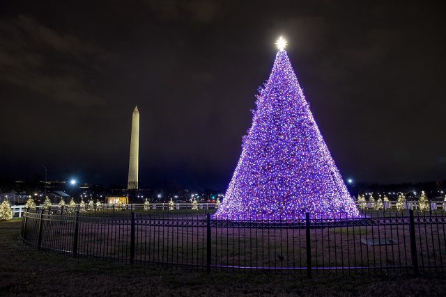 White house christmas tree - outside