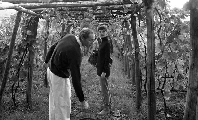 Mel Ferrer and Audrey Hepburn standing in the middle of an Italian vineyard