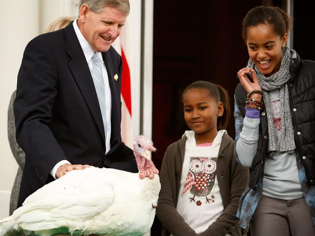 Daughters of U.S. President Barack Obama, Malia (R) and Sasha (C), look at a turkey named “Courage” with Walter Pelletier (L), Chairman of the National Turkey Federation, during a presidential pardon at the North Portico of the White House (Photo Credit: Alex Wong/Getty Images)