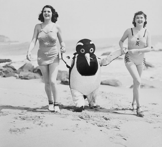 Rita Hayworth and Patricia Farr walking along the beach with a cigarette-smoking penguin