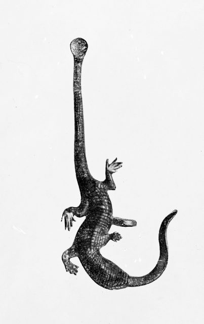 Toothpick and ear-scoop in from of a lizard (photo credit: wellcome collection gallery, cc by 4. 0)