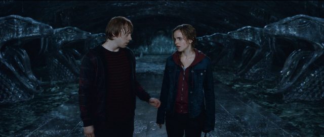 Ron Weasley and Hermione Granger looking at each other