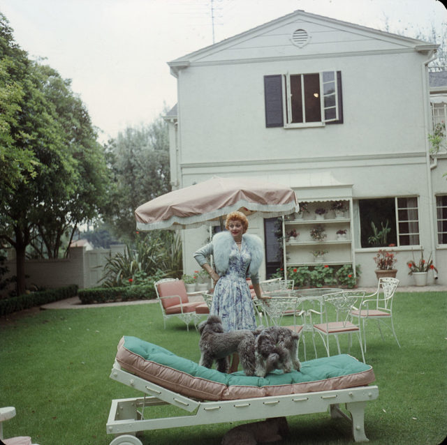 Lucille Ball at home with her dogs 