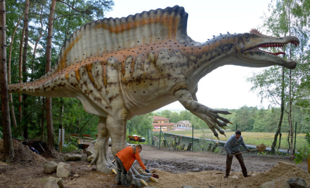 Workers setting up a Spinosaurus model
