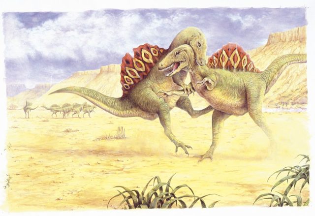 Illustration depicting Spinosaurus's fighting 