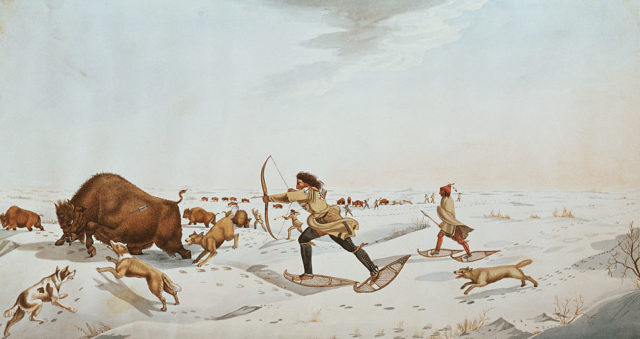 Artistic depiction of buffalo hunting in the later winter