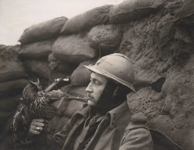 A French soldier holding an eagle owl while in the trenches