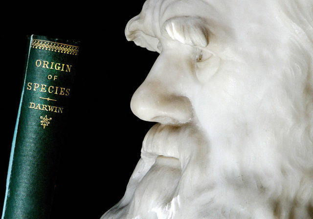 Darwin's book next to a marble bust
