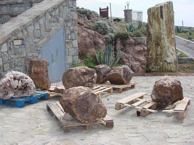 Petrified logs outside of Lesbos museum. (Photo Credit: Catlemur CC BY-SA 3.0)