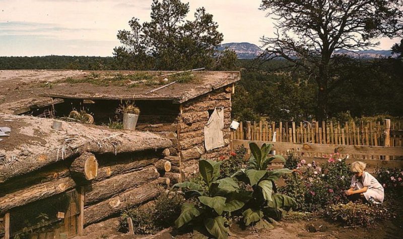 Garden adjacent to the dugout home of homesteader Jack Whinery, in Pie Town, New Mexico, 1940