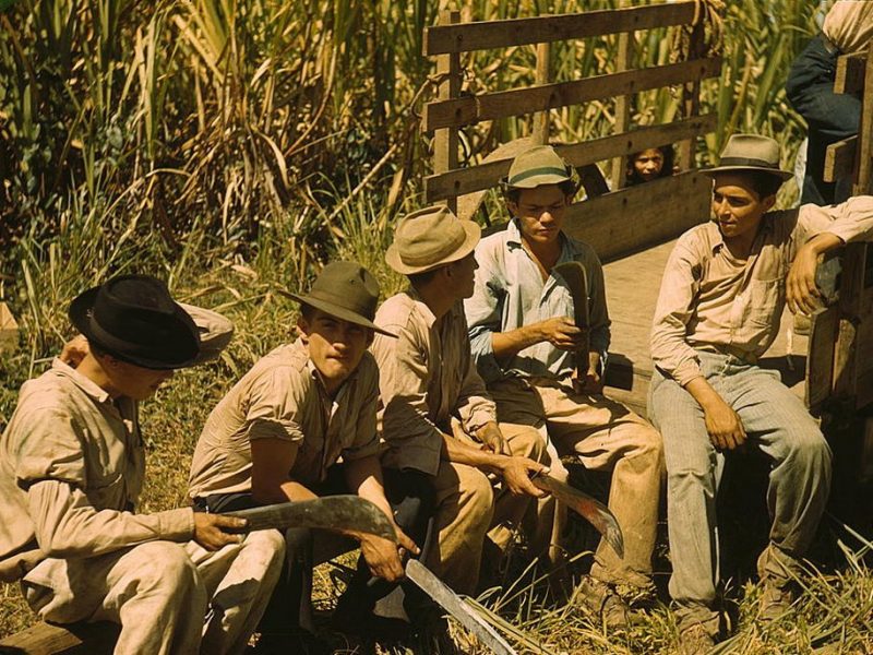 Sugar cane workers, Rio Piedras, Puerto Rico