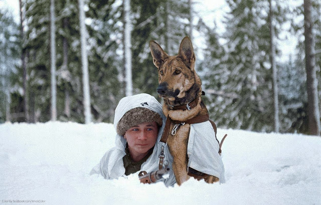 A Finnish soldier practices maneuvers in the winter snow at a military dog training school during the Finnish-Soviet Continuation War. Hämeenlinna, Finland. February 1941.