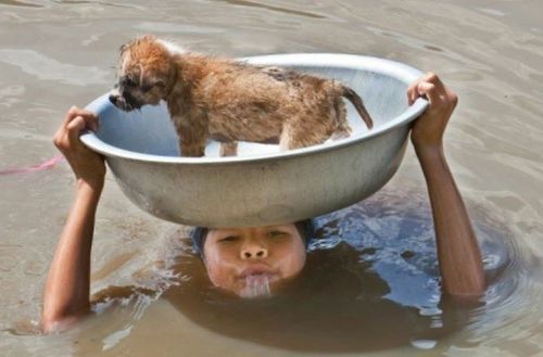 A young boy puts himself in danger to keep his dog safe during a flood