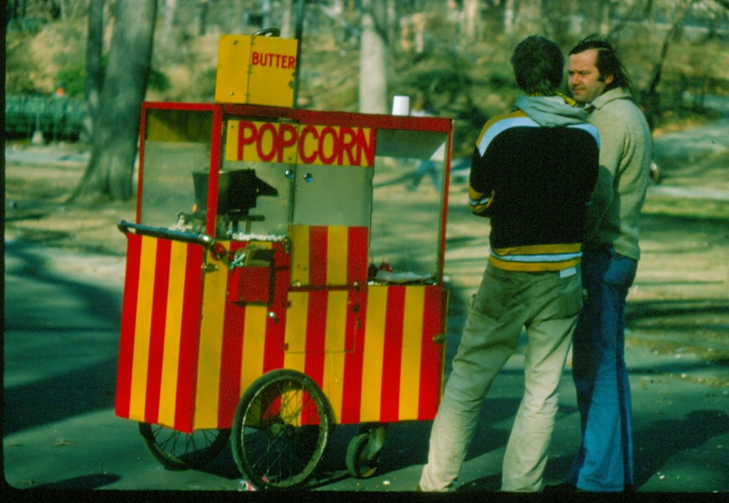 Central Park, New York in the 1970s (4)