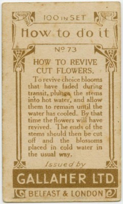 vintage-life-hacks-from-the-1900s-74