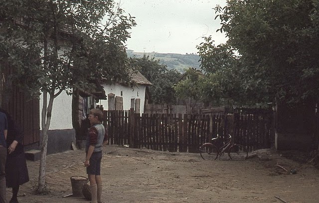 Daily Life in Yugoslavia in 1972 (17)