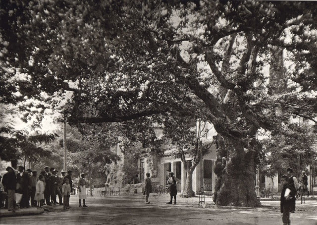 Greece from 1903-1930 (17)