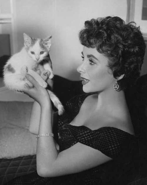 Old Portraits of Young Elizabeth Taylor with Her Cats (6)
