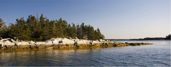 The densely wooded Charles Island is in an area popular with water sports and sits about 30 metres from the mainland. 