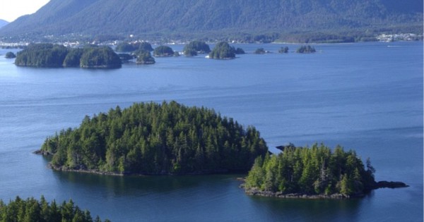 This pristine, wooded island near Aleutkina Bay is on sale for £192,132 and it enjoys an unspoiled charm as well as breathtaking views 