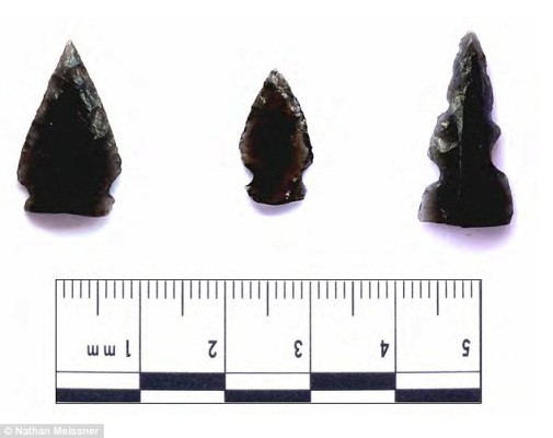 2DA1DFF900000578-3283134-Traces_of_blood_discovered_on_ancient_arrowheads_pictured_in_Gua-a-33_1445453400791