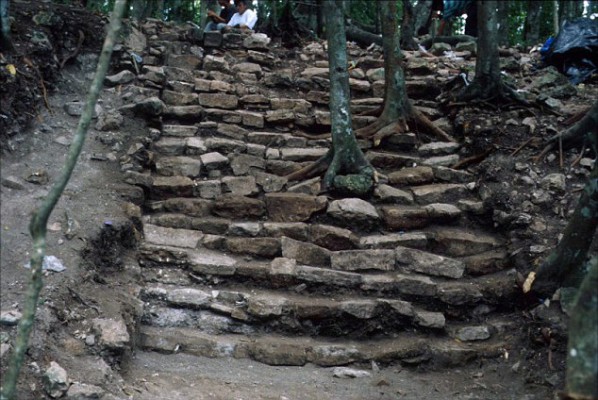 'It is important to approach Maya ritual behavior through the lens of their worldview that included complex cycles of renewal and time. 'Bloodletting was likely only one facet of much more elaborate ritual activity,' Dr Meissner said. This image shows some creepy-looking ancient steps at one of the jungle sites. source 