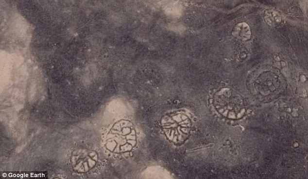 2EFC6E1E00000578-3342609-Similar_wheels_have_been_found_nearby_at_Azraq_Oasis_pictured_Wh-a-66_1449062165472