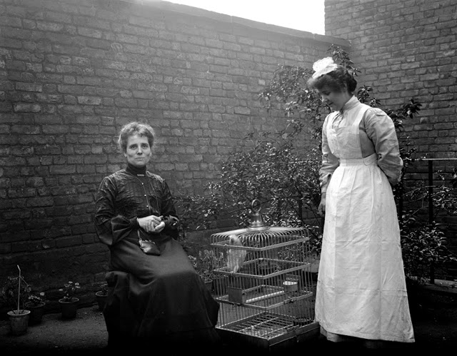 Ladies in the garden, London, 1904