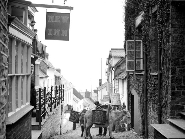 New Inn with donkeys, Clovelly, Devon, 1904