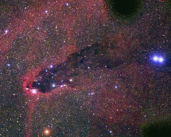 Uncatalogued dark cloud in Scorpius, Australian Astronomical Observatory, 2000-10.