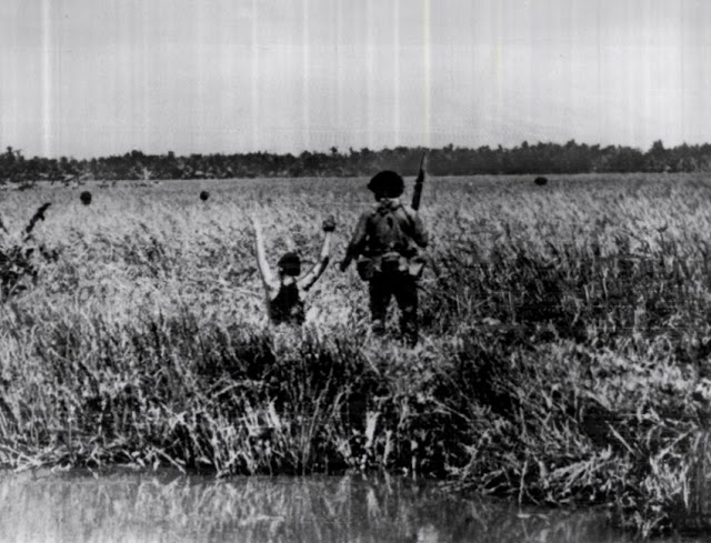 A Viet Cong guerrilla throws up his arms in surrender in a rice paddy, January 16, 1965