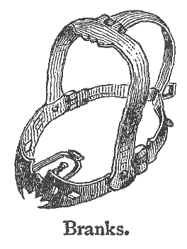 A scold's bridle, having a hinged iron framework to enclose the head and a bit or gag to fit into the mouth and compress the tongue..