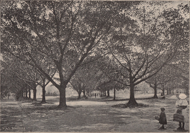 Hyde Park, ca. 1897