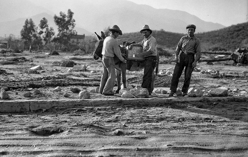 Jan. 2, 1934: Burro used to move water and supplies after New Years Eve flooding in La Crescenta area. This photo was published in the Jan. 3, 1934 Los Angeles Times.