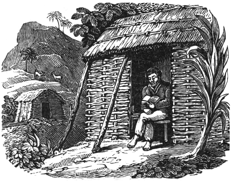 Selkirk reading his Bible in one of two huts that he built on a mountainside