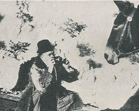 Stan photographing Dinah the mule.