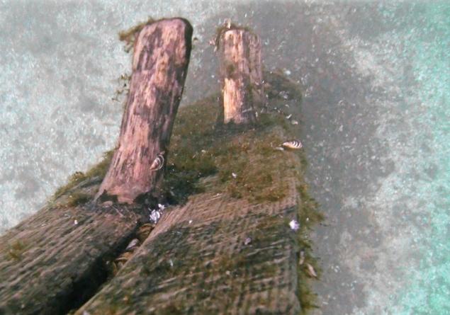 Researchers found timbers believed to be part of the long lost French ship, Le Griffon, at the bottom of Lake Michigan in 2001, and found what they hope are the remains of the rest of the ship this month. source